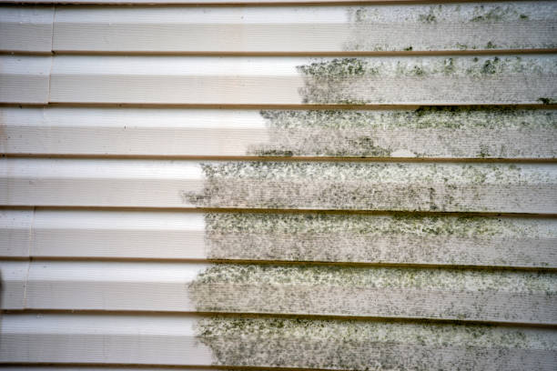 Best Attic Cleanout  in Pascagoula, MS